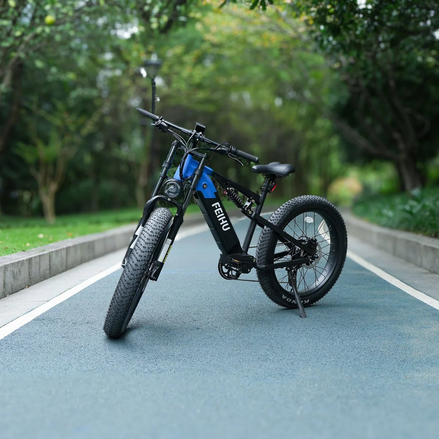 Conquer Streets & Trails: The Feihu 750W Fat Tire Electric Mountain Bike
