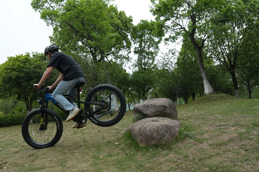 Why Fat Tire eBikes Are Taking Over in 2025 — The Feihu 750W Explained
