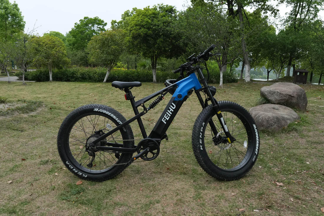 Conquer Any Terrain with Feihu 750W Fat Tire Electric Mountain Bike