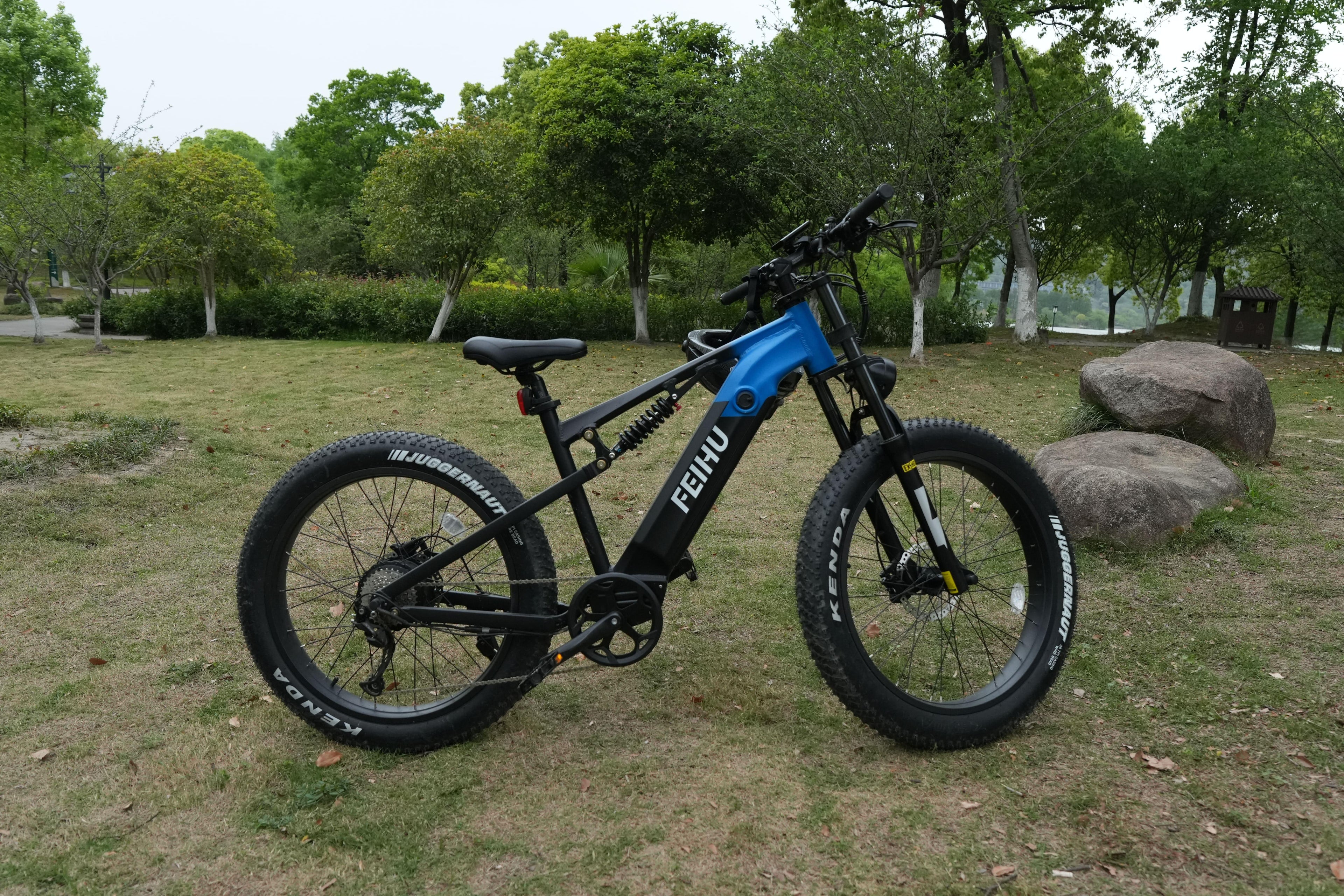 Conquer Any Terrain with Feihu 750W Fat Tire Electric Mountain Bike