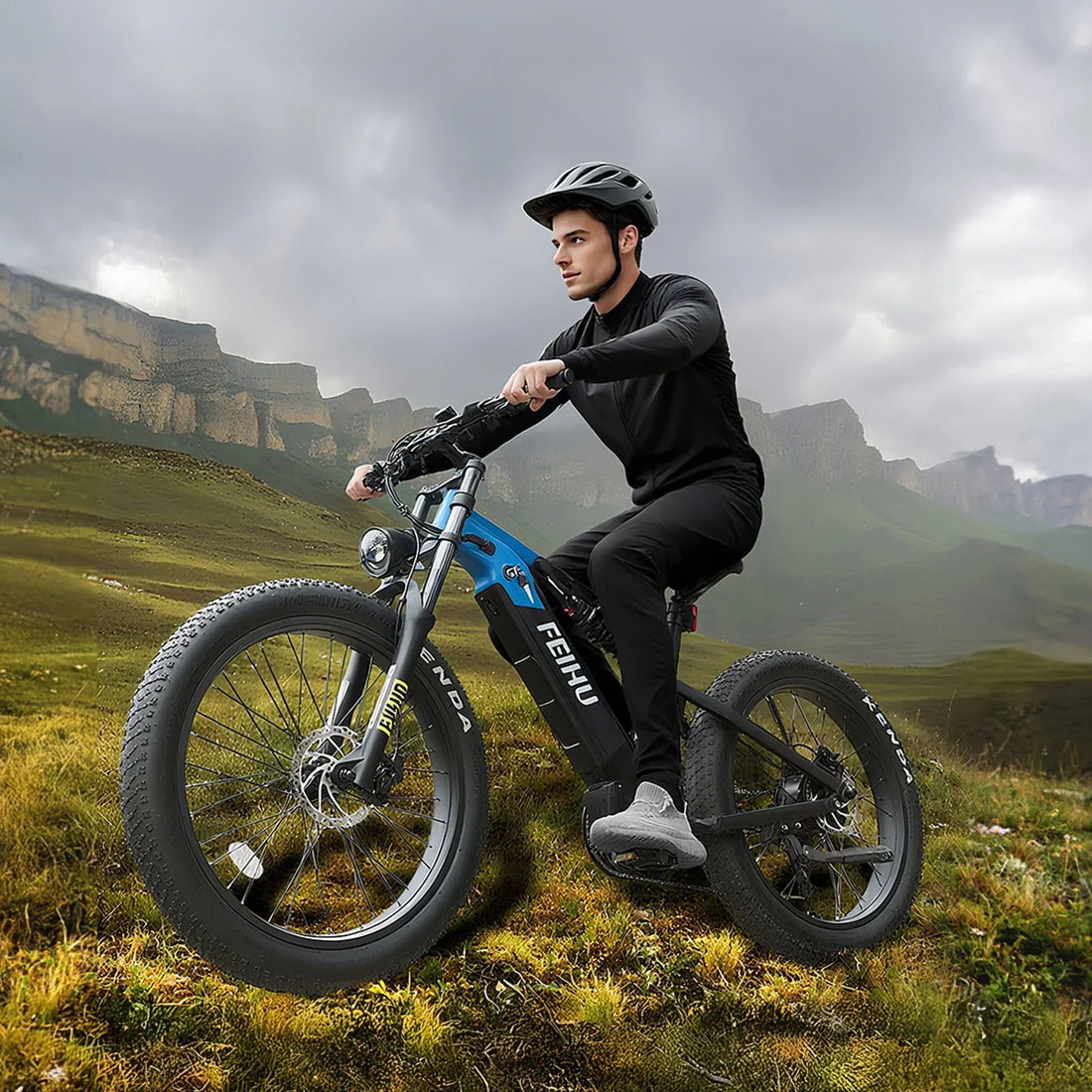 Conquer Any Terrain with the Feihu 750W Fat Tire eMTB