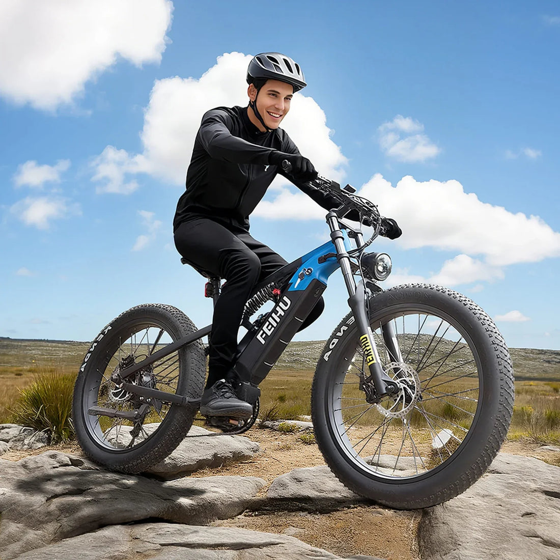750W Fat Tire Electric Bike