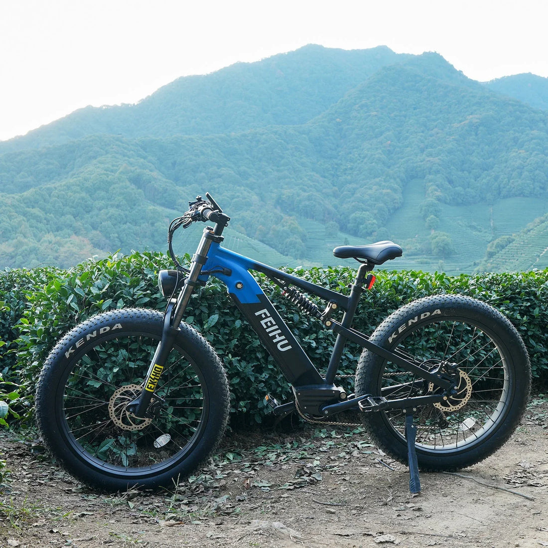 Take Your Ride to the Next Level with Feihu 750W Fat Tire E-Bike