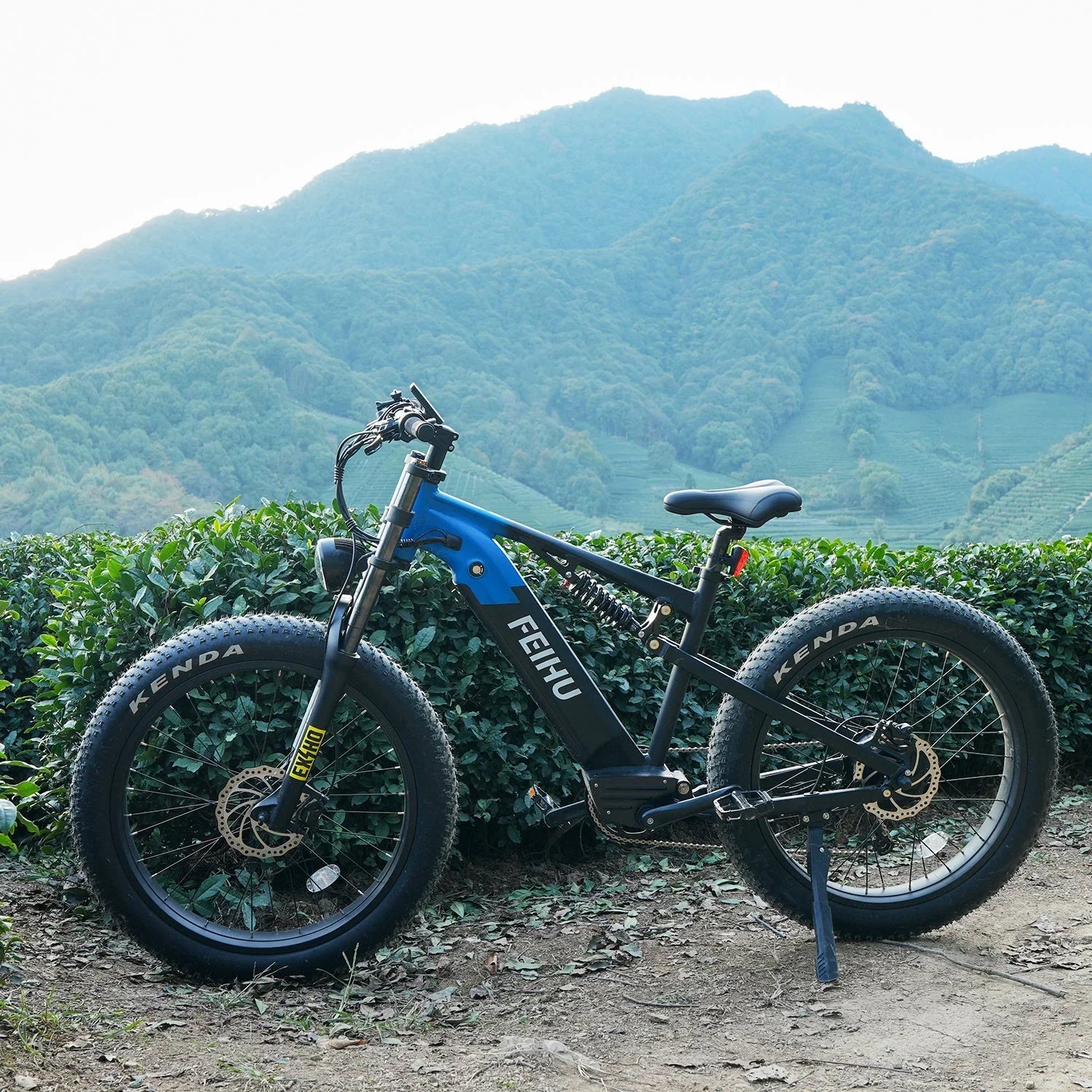 Take Your Ride to the Next Level with Feihu 750W Fat Tire E-Bike