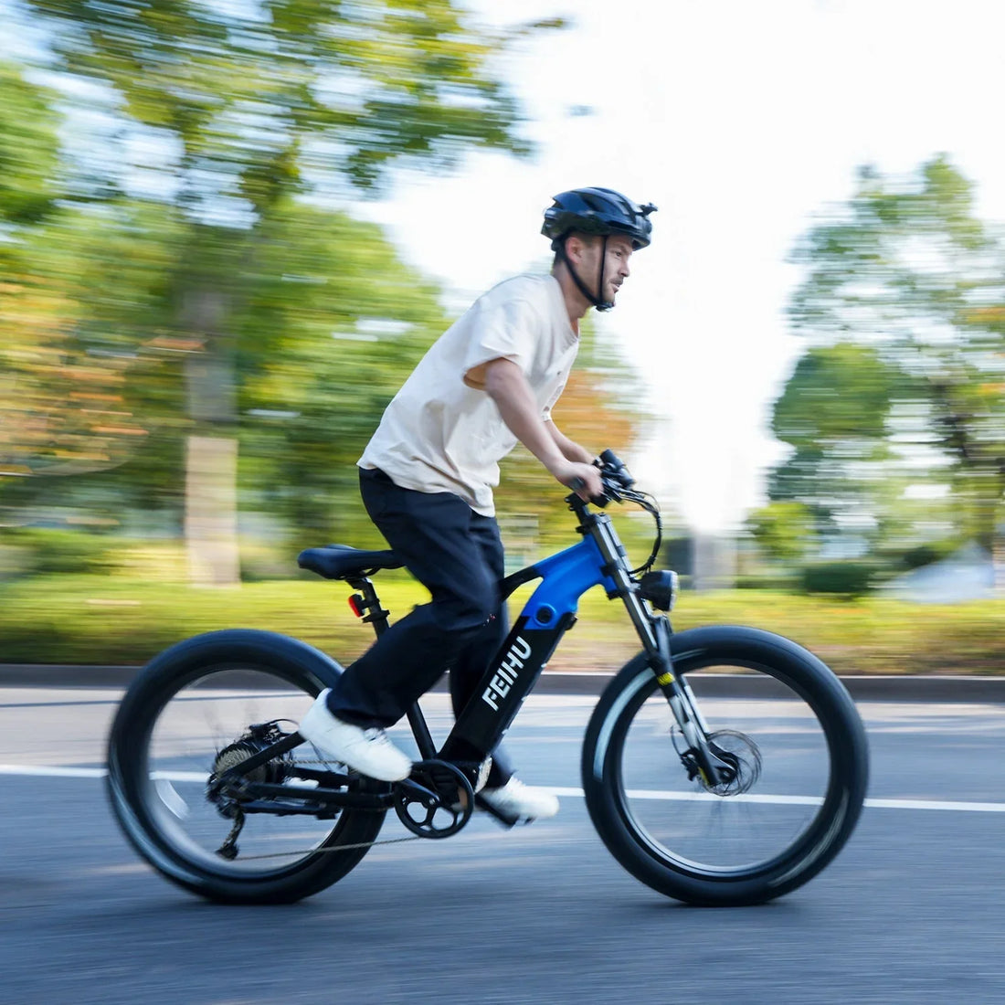 Level Up Your Fitness Routine with the Feihu 750W eBike
