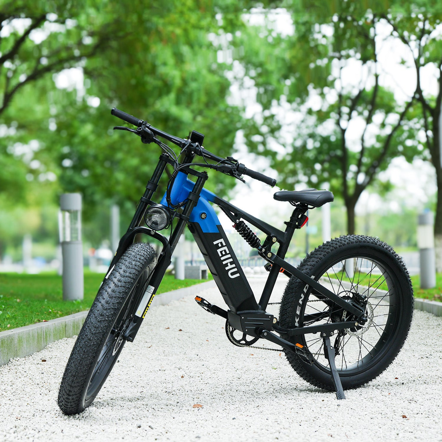 Electric Mountain Bike
